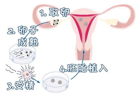 王主任